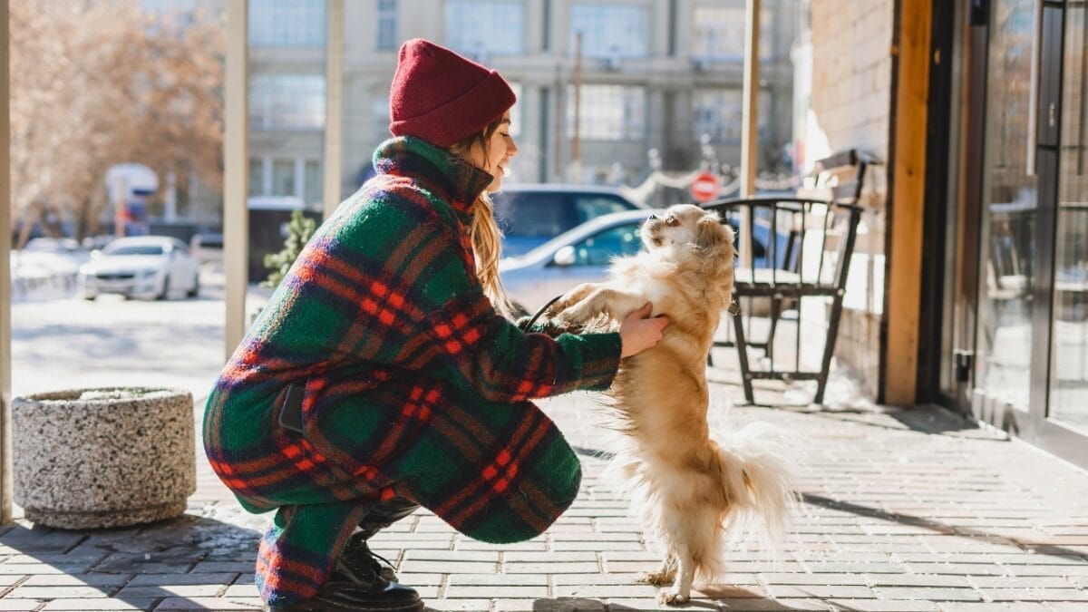 5 Dog Breeds Will Live the Longest According to 2024 Study 8 5 Dog Breeds Will Live the Longest According to 2024 Study - woman holding a tibetan spaniel ss2022786815