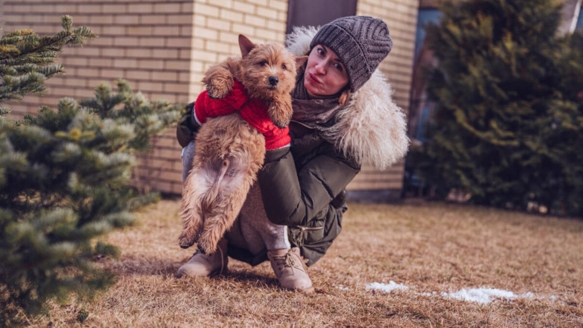 10 Reasons Why Older Dogs Make the Best Pets - woman holding norwich terrier dog ss1926065408