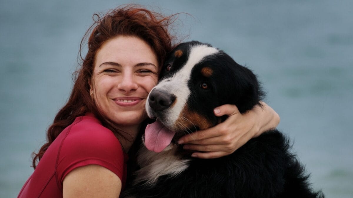 10 Reasons Bernese Mountain Dogs Will Steal Your Heart 8 10 Reasons Bernese Mountain Dogs Will Steal Your Heart - woman hugging bernese dog ss2006378123