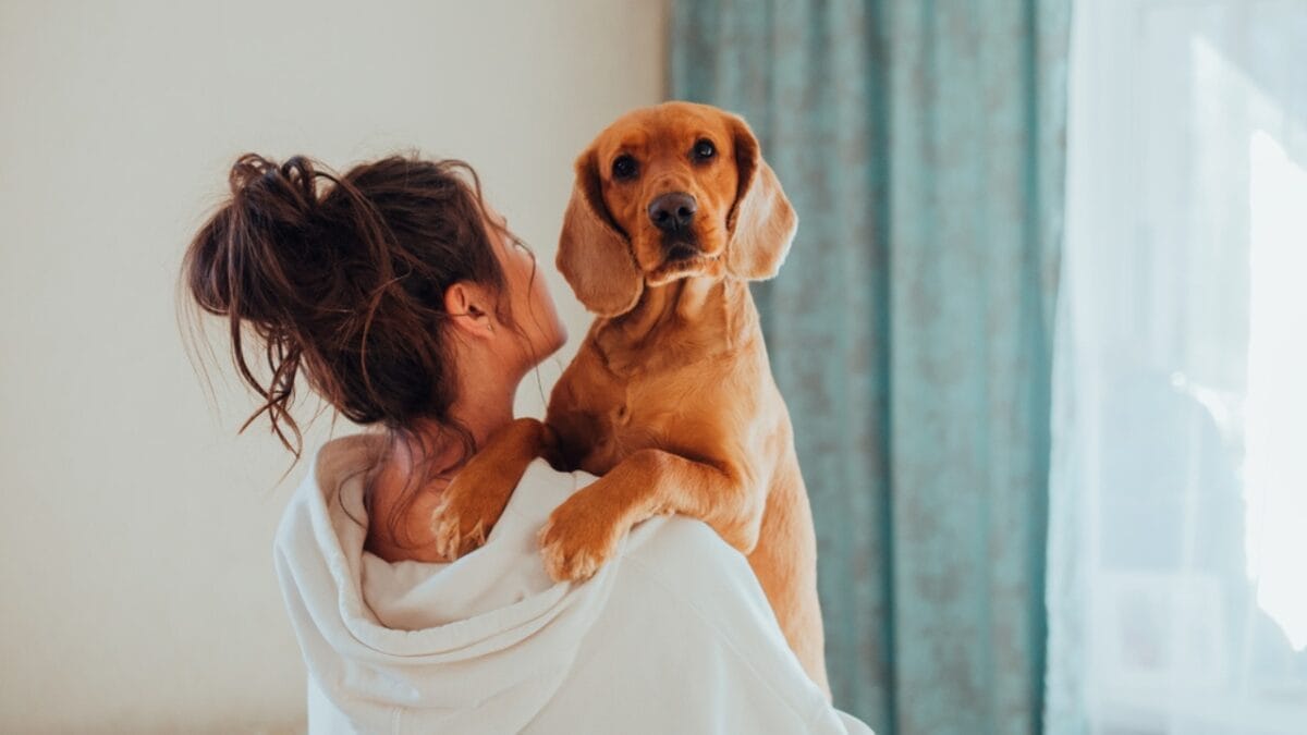 10 Things Only Devoted English Cocker Spaniel Lovers Understand 7 10 Things Only Devoted English Cocker Spaniel Lovers Understand - woman hugging english dog dp434114312