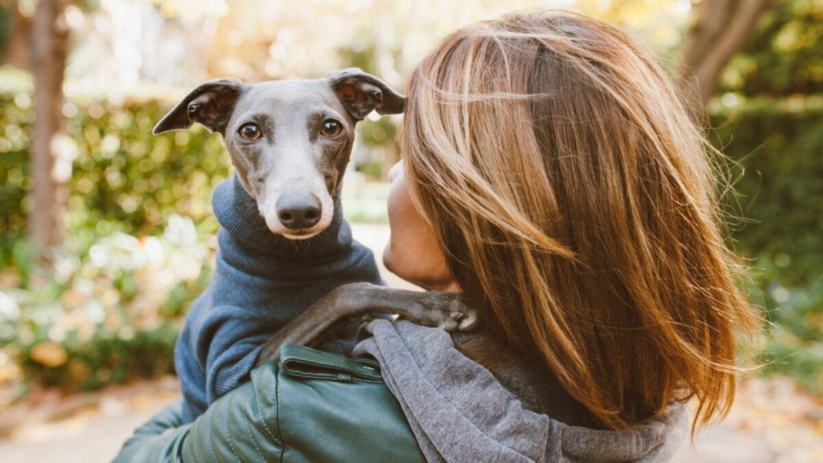 16 Sensitive Dog Breeds Perfect for Families & Companionship 12 16 Sensitive Dog Breeds Perfect for Families & Companionship - woman hugging greyhound dog ss1571240485