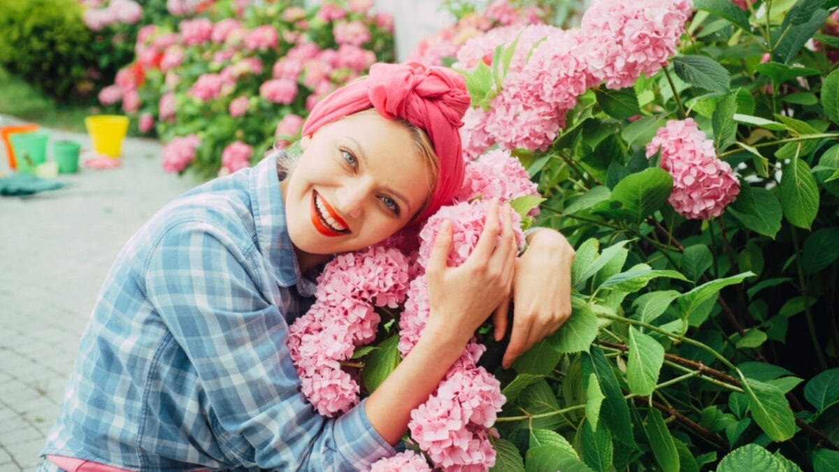 10 Tips for Perfectly Growing Hydrangeas - woman hugging hydrangea flowers dp255346214