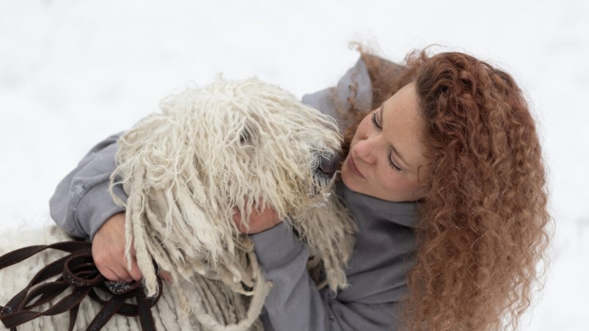 The ‘Mop Dog’ with Dreadlocks: 10 Things You Didn’t Know About the Komondor Breed 7 The ‘Mop Dog’ with Dreadlocks: 10 Things You Didn’t Know About the Komondor Breed - woman hugging komondor dog ss2356233839