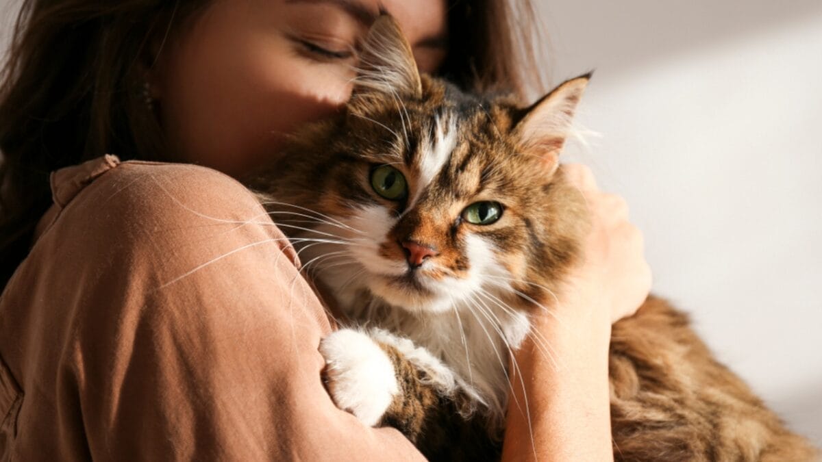 9 Lives, 9 Health Benefits: How Cats Can Extend Your Lifespan 5 9 Lives, 9 Health Benefits: How Cats Can Extend Your Lifespan - woman kissing cat ss1608135394