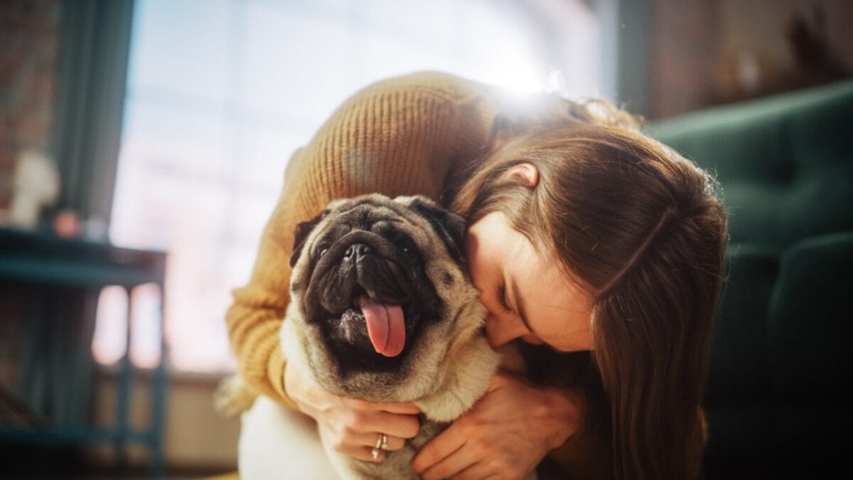 These 17 Dog Breeds are Perfect for Snuggling & Emotional Support - woman kissing pug dog ss2229854993