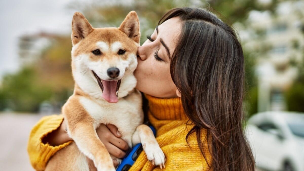 Dog Breeds: All Types from Small to Giant, Personalities & Characteristics 61 Dog Breeds: All Types from Small to Giant, Personalities & Characteristics - woman kissing shiba inu ss2064798041