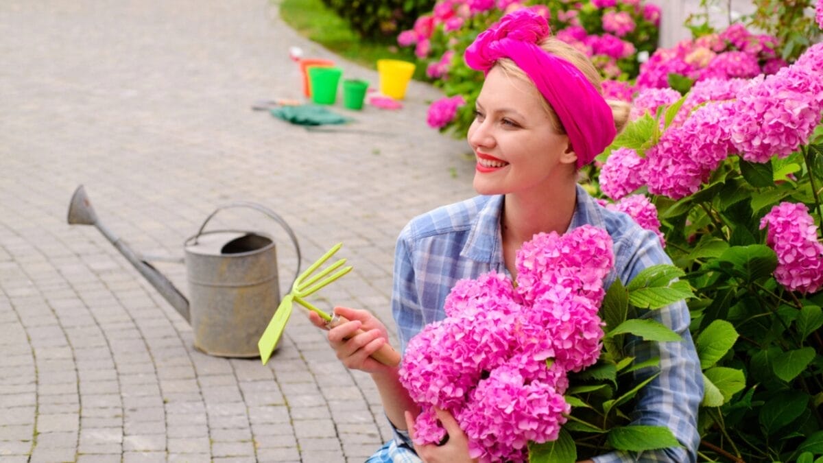 10 Tips for Perfectly Growing Hydrangeas 11 10 Tips for Perfectly Growing Hydrangeas - woman smiling hydrangea flowers dp251741262 1