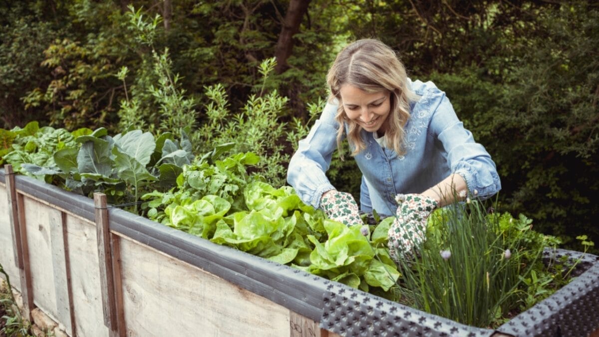 Bountiful Raised Garden Beds in 9 Easy Steps - woman smiling raised garden bed ss1978416518