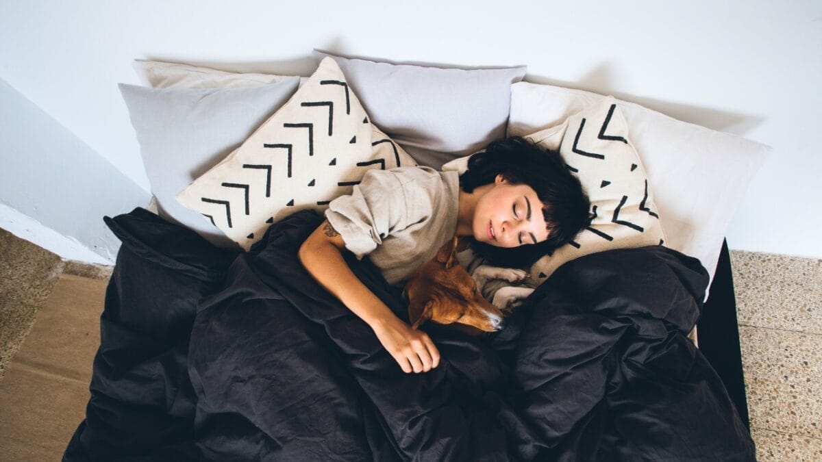 A Fascinating Barkless Dog of African Origins: Basenji 6 A Fascinating Barkless Dog of African Origins: Basenji - woman with a basenji in bed ss745832272