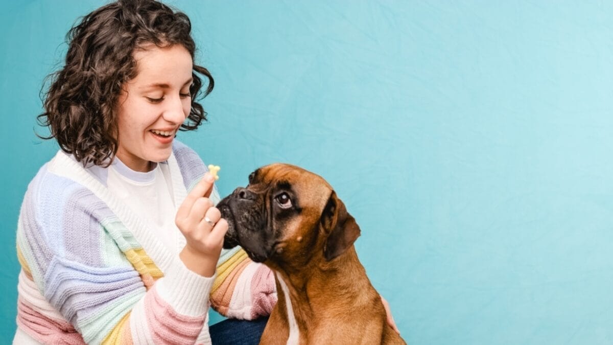 First German Police Dogs & 10 Other Things About Boxers Most People Don't Know 5 First German Police Dogs & 10 Other Things About Boxers Most People Don't Know - woman with boxer dog ss2135560159