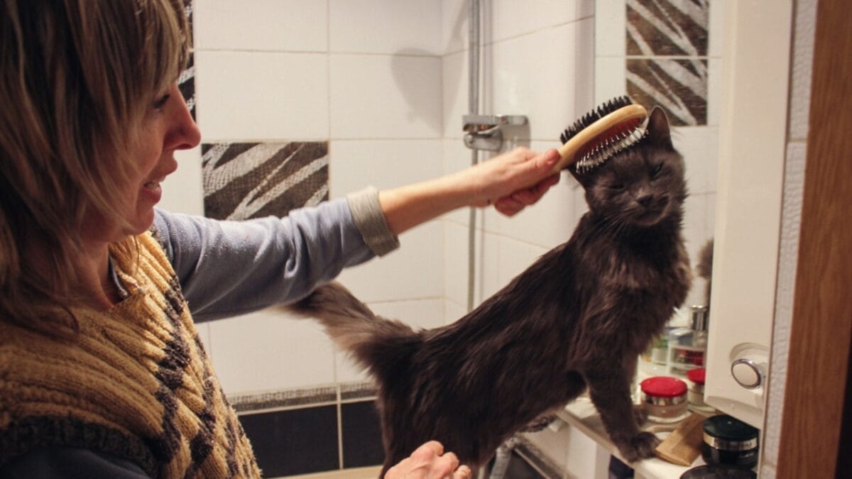 12 Reasons Why Cats Follow You to the Bathroom 4 12 Reasons Why Cats Follow You to the Bathroom - woman with cat brushing ss537545860