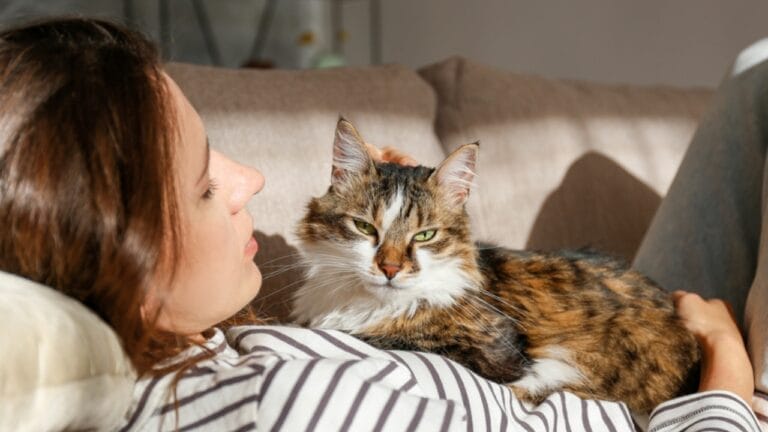 ESA Cats are the Purrfect Companions 2 ESA Cats are the Purrfect Companions - woman with cat dp543020018