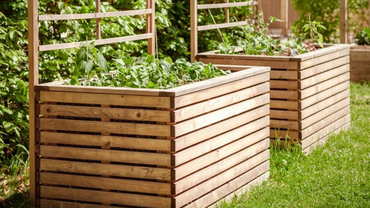 Bountiful Raised Garden Beds in 9 Easy Steps - wood raised garden bed ss2427149853