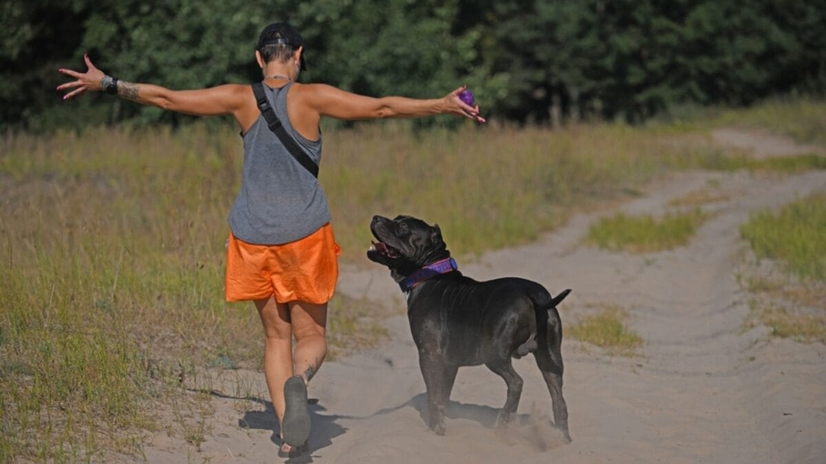 11 Facts About XL Bully Dogs That Potential Owners Should Know 4 11 Facts About XL Bully Dogs That Potential Owners Should Know - xl bully with owner ss2372825255