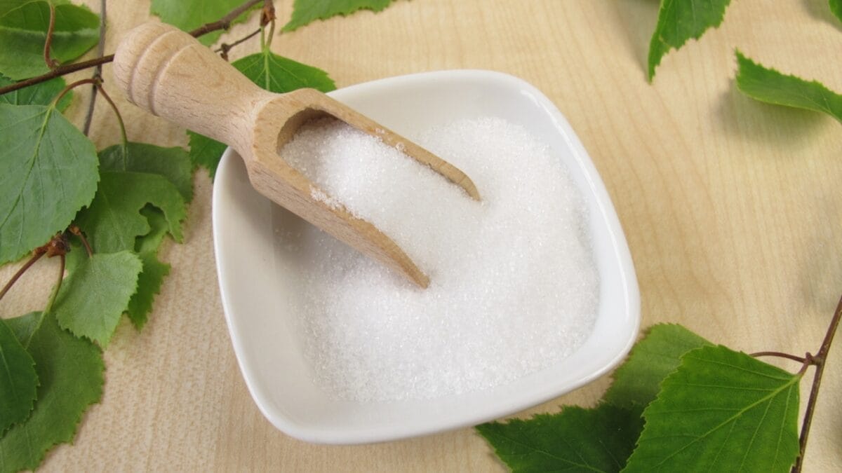 15 Household Hazards You Didn’t Know Could Harm Your Cat 10 15 Household Hazards You Didn’t Know Could Harm Your Cat - xylitol dp50191669