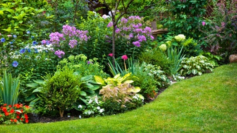 Say Goodbye to Garden Chores with These 20 Maintenance-Free Front Yard Ideas 8 Say Goodbye to Garden Chores with These 20 Maintenance-Free Front Yard Ideas - yard dp16942107