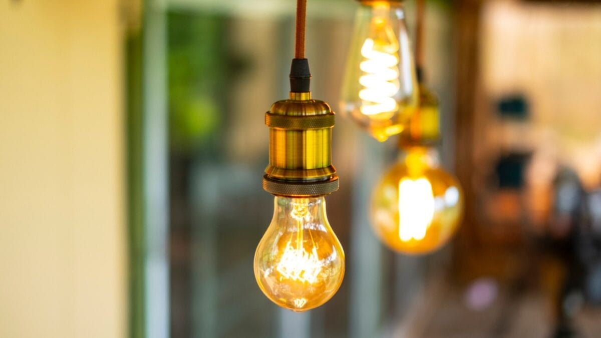 10 Effective Ways to Get Rid of Stink Bugs 12 10 Effective Ways to Get Rid of Stink Bugs - yellow bulb dp252853694