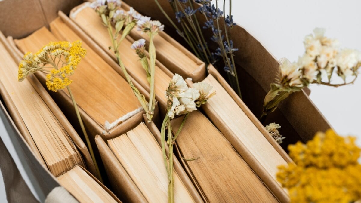 12 Soul-Soothing Lavender Varieties For Your Garden 9 12 Soul-Soothing Lavender Varieties For Your Garden - yellow flowers book dp552103626