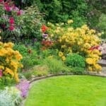 Grow a Weed-Free Garden with These 15 Clumping Perennials 3 Grow a Weed-Free Garden with These 15 Clumping Perennials - Beautiful Garden ss282539564