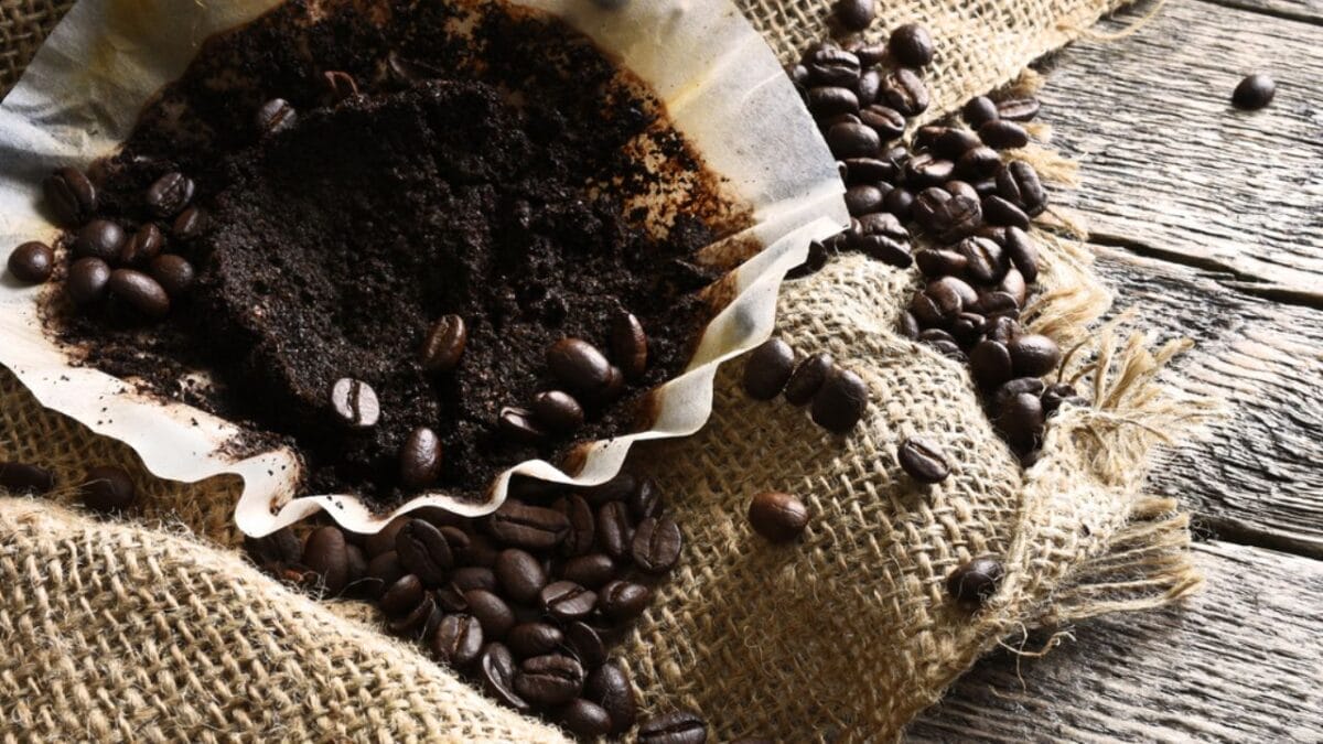13 Creative & Practical Uses of Coffee Grounds That You Can Do at Home 2 13 Creative & Practical Uses of Coffee Grounds That You Can Do at Home - Composting Coffee Grounds ss1706886358