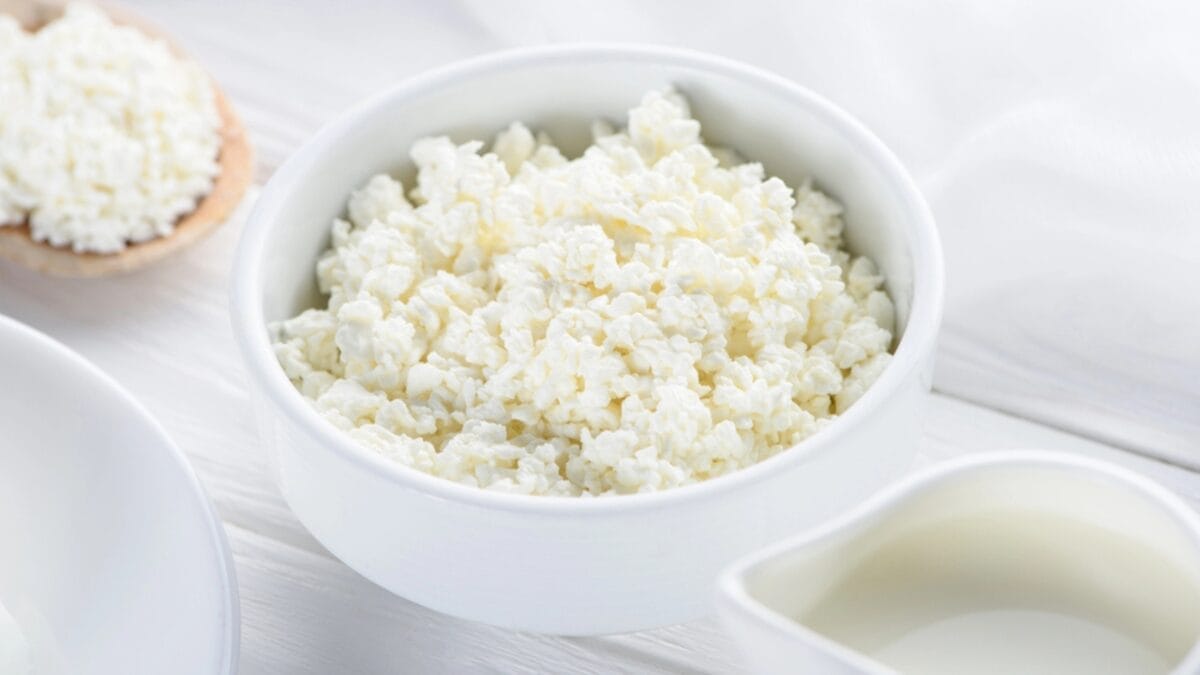 10 Common Kitchen Scraps You Can Safely Feed to Wild Birds - Cottage Cheese dp191827806