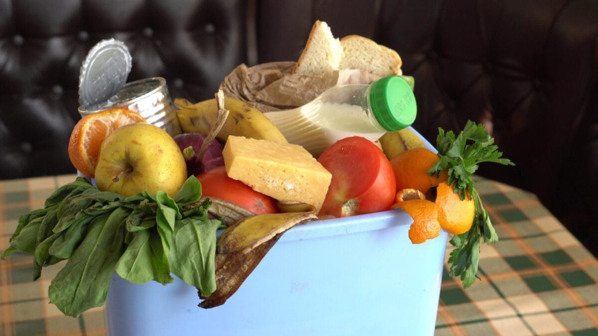 Selling These 12 Items in Your Garage Sale? Think Again - Food Waste dp303297414