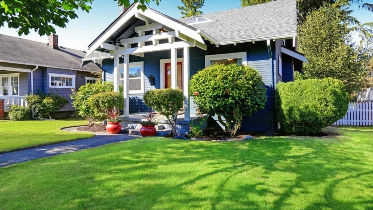 Why 1950s Front Yards Became Symbols of the American Dream 7 Why 1950s Front Yards Became Symbols of the American Dream - House with Tree ss2479571911