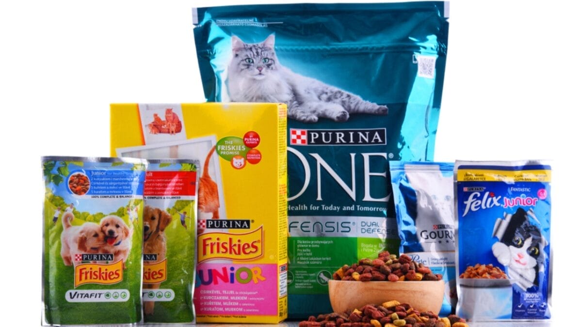 New Study Finds PFAS Chemicals in All Tested Pet Food Brands 4 New Study Finds PFAS Chemicals in All Tested Pet Food Brands - How PFAS Can Migrate from Packaging into Pet Food ss1140203351