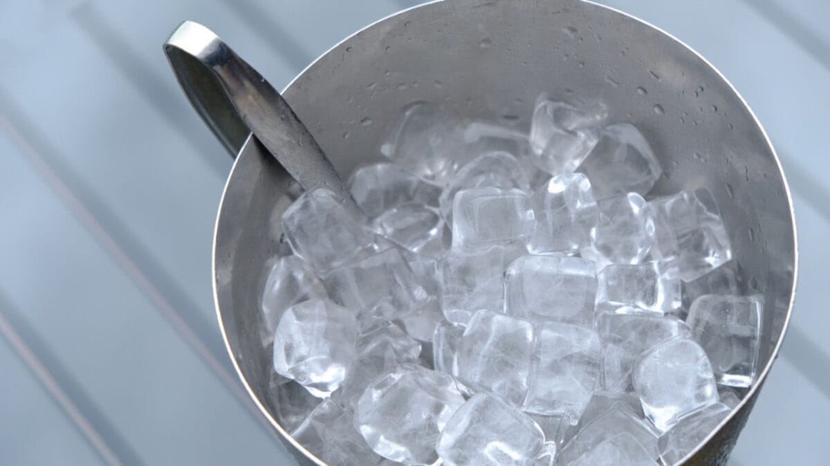 15 Underrated Hosting Essentials That Will Save Your Next Party - Ice Bucket ss709787122