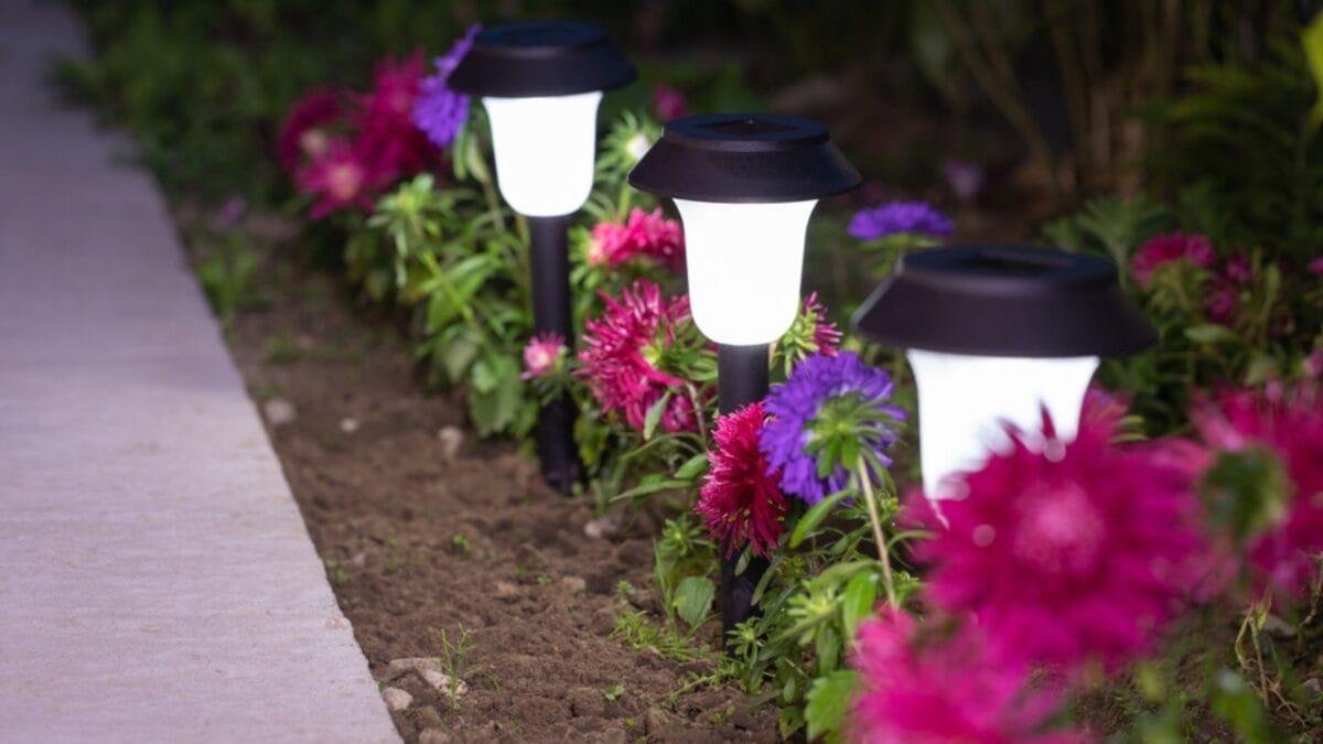 18 Brilliant Ways to Banish Groundhogs from Your Garden 8 18 Brilliant Ways to Banish Groundhogs from Your Garden - Lights In Garden ss1709595382