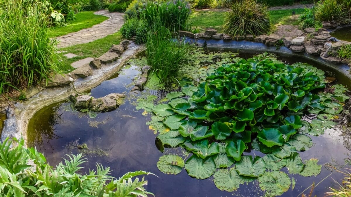 Zen & the Art of Rock Placement: 21 Tranquil Boulder Landscaping Ideas 6 Zen & the Art of Rock Placement: 21 Tranquil Boulder Landscaping Ideas - Lined Rock in Pond dp134212826