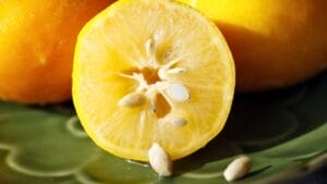 How to Grow Your Own Lemons from Seeds in 9 Simple Steps 1 How to Grow Your Own Lemons from Seeds in 9 Simple Steps - Meyer lemon with seeds ss93581746