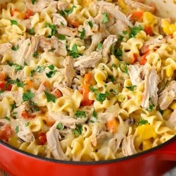 From Holiday Leftovers to Everyday Dinner: Turkey Noodle Casserole 4 From Holiday Leftovers to Everyday Dinner: Turkey Noodle Casserole - One Pot Turkey Noodle Casserole