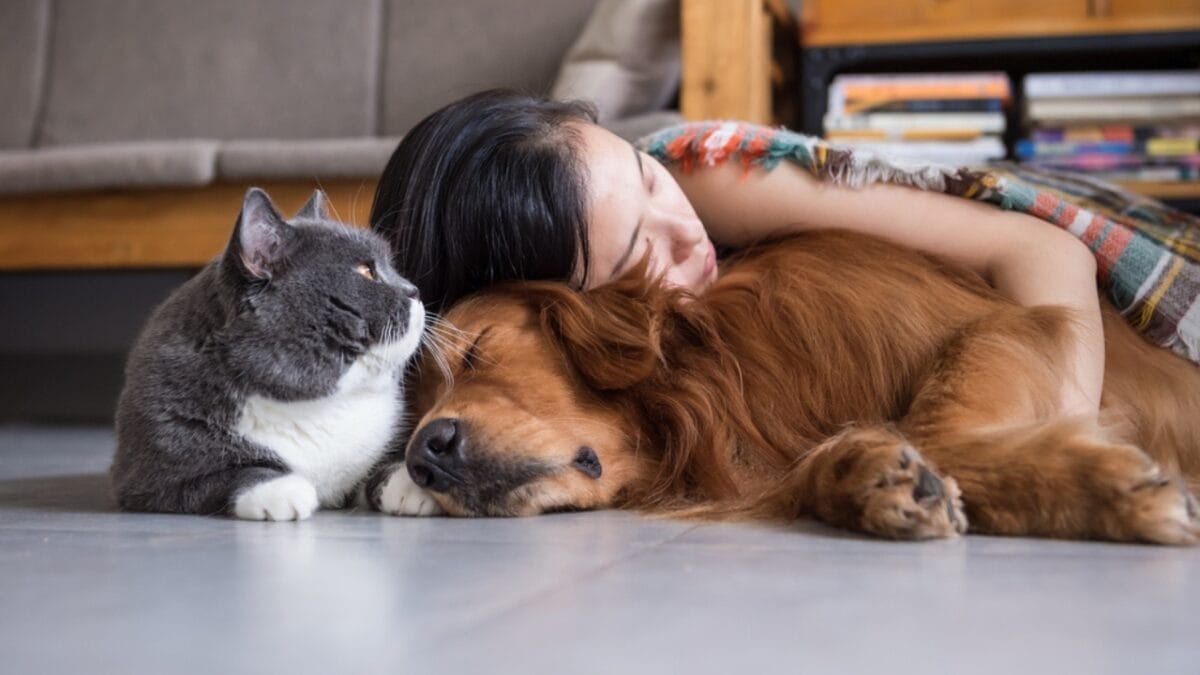 8 Surprising Similarities Between Cat & Dog Owners 8 8 Surprising Similarities Between Cat & Dog Owners - Pet Influence on Consumer Behavior ss631869404