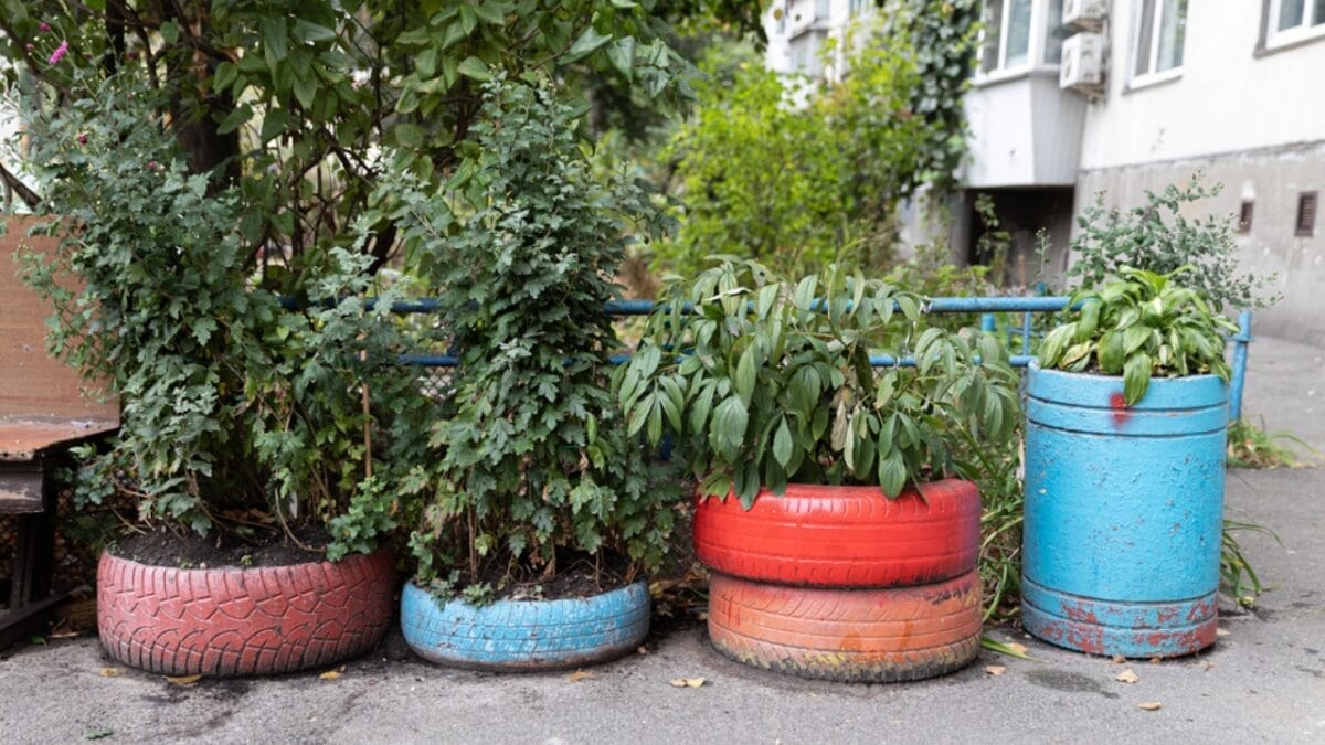 15 Budget-Friendly Ways to Makeover Your Backyard 15 15 Budget-Friendly Ways to Makeover Your Backyard - Plants in Old Tire dp314354670