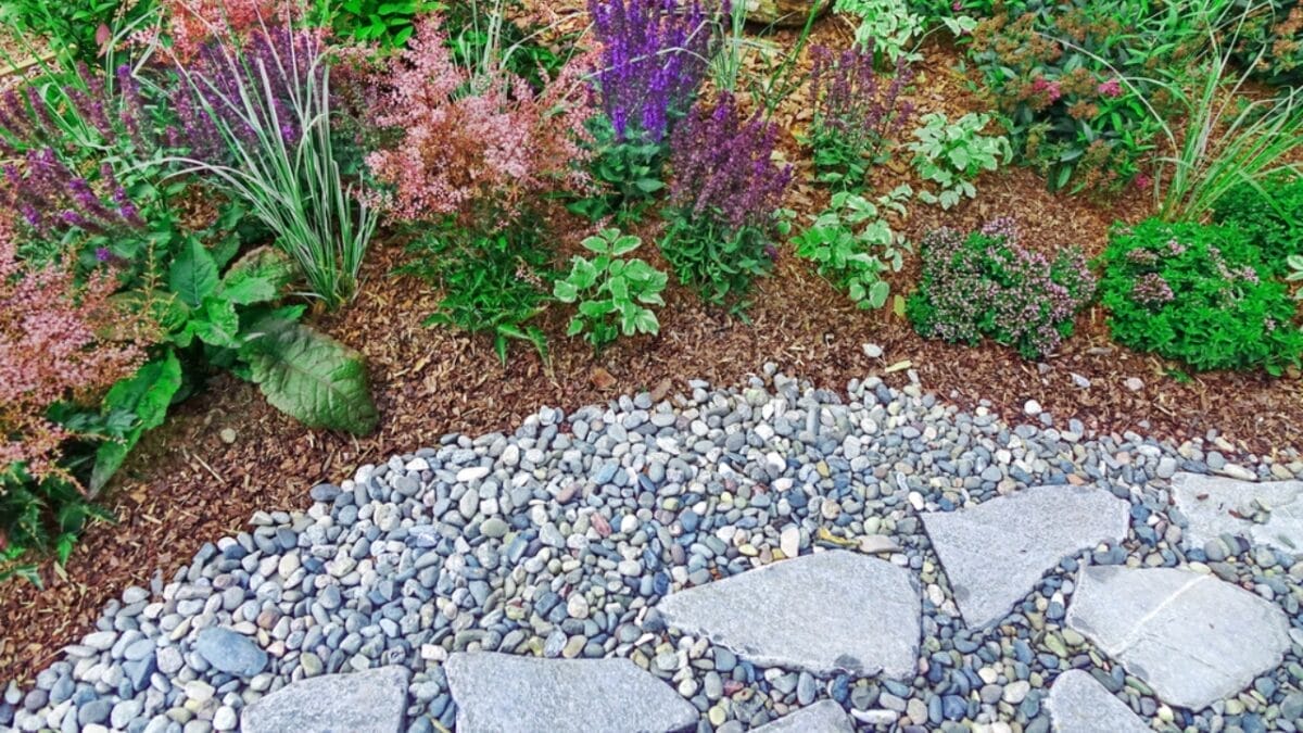 Stop Tossing Those Pistachio Shells... Here's What to Do Instead - Rock Mulch Garden dp471973800