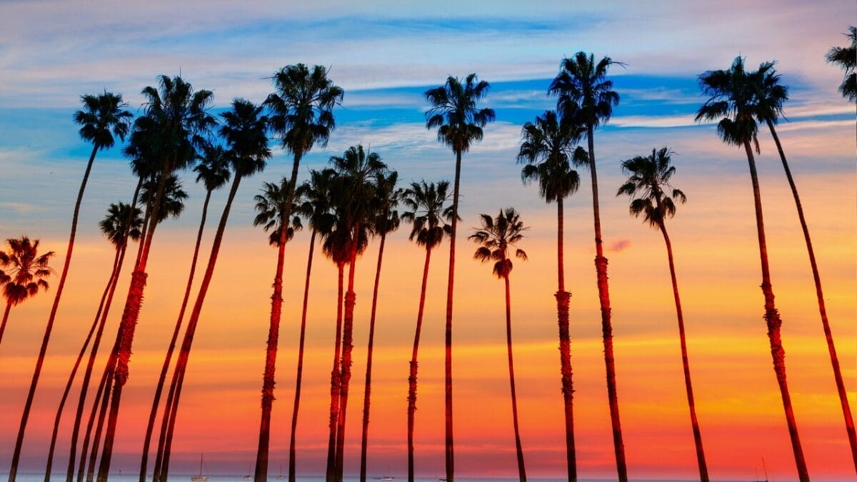 20 U.S. Dog-Friendly Attractions: Pup-Approved Adventures 14 20 U.S. Dog-Friendly Attractions: Pup-Approved Adventures - Santa Barbara CA dp40190297