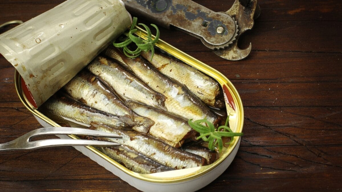 15 Foods That Can Help Your Sick Cat Start Eating Again 9 15 Foods That Can Help Your Sick Cat Start Eating Again - Sardines dp68917057