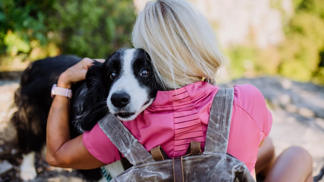Why Collies are More Than Just Lassie: 10 Remarkable Facts 2 Why Collies are More Than Just Lassie: 10 Remarkable Facts - Senior woman resting and hugging her collie dog ss2214972783 degm