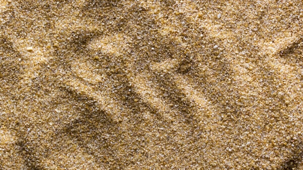 10 Soil Ingredients That Turn Your Raised Bed into a Plant Paradise 8 10 Soil Ingredients That Turn Your Raised Bed into a Plant Paradise - Soil Ingredients Sand dp54111123