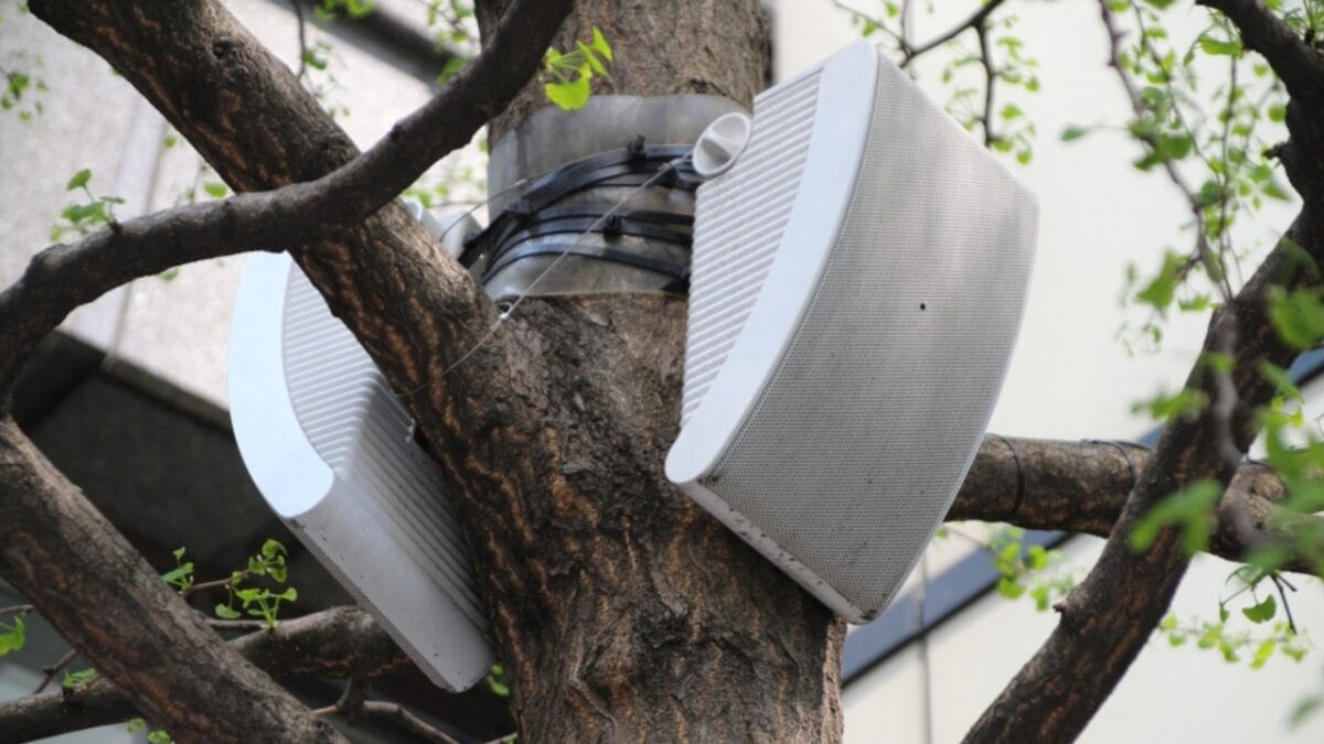 4 Simple Solutions to Protect Your Vegetable Garden from Birds 5 4 Simple Solutions to Protect Your Vegetable Garden from Birds - Sound Deterrents ss1379736398