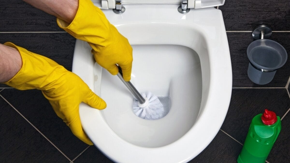 Don't Ignore Black Toilet Water: Here's What It Means & How to Solve It - Steps to Clear the Black Water ss2236007845