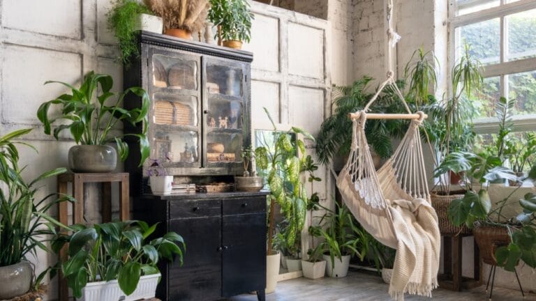 11 Houseplants You Can Forget About—No Fertilizer Needed - Swing With Plants ss1859252215