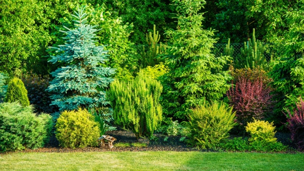 Planting Trees Can Boost Your Home's Value 4 Planting Trees Can Boost Your Home's Value - Tree In Garden dp75573449