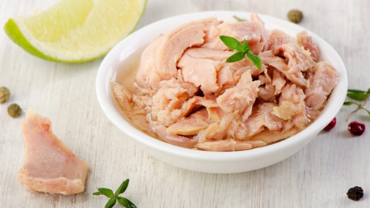 15 Foods That Can Help Your Sick Cat Start Eating Again 7 15 Foods That Can Help Your Sick Cat Start Eating Again - Tuna dp34388397