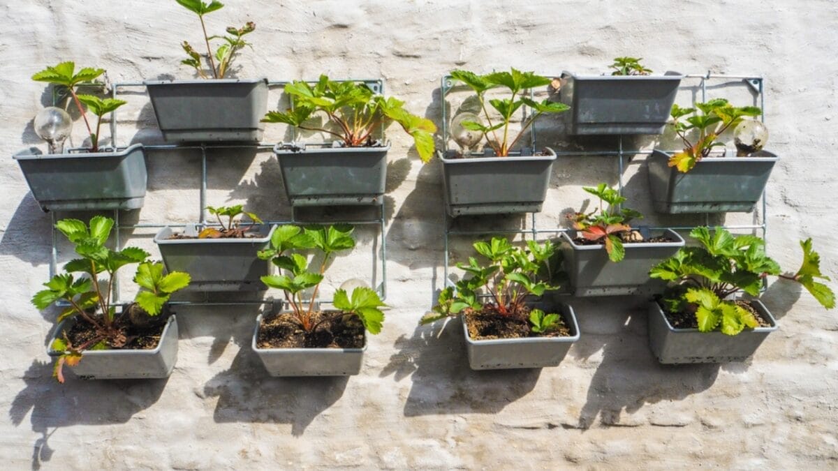 How to Grow More with Less: 12 Permaculture Principles for a Low-Maintenance Garden 13 How to Grow More with Less: 12 Permaculture Principles for a Low-Maintenance Garden - Vertical Garden dp234658218