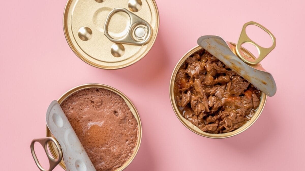 15 Foods That Can Help Your Sick Cat Start Eating Again 3 15 Foods That Can Help Your Sick Cat Start Eating Again - Wet Cat Food ss2226084499