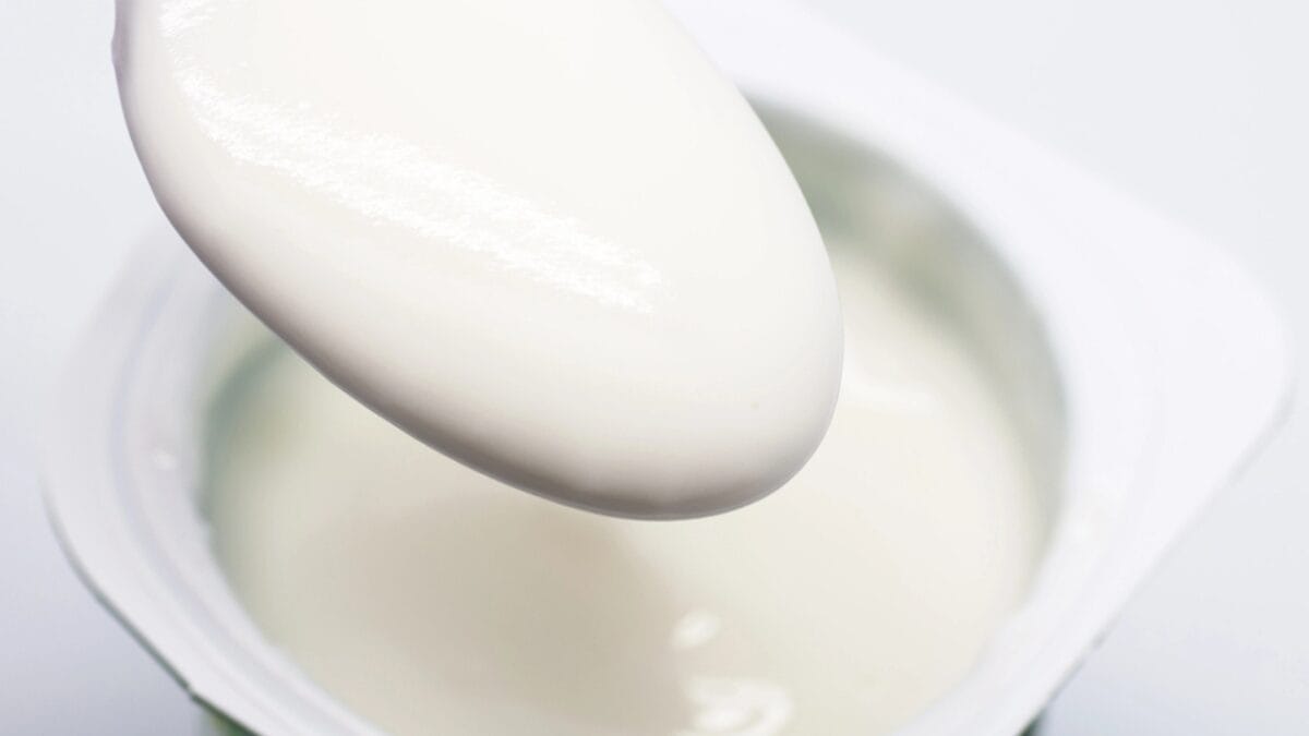 15 Foods That Can Help Your Sick Cat Start Eating Again 10 15 Foods That Can Help Your Sick Cat Start Eating Again - Yogurt dp12385805