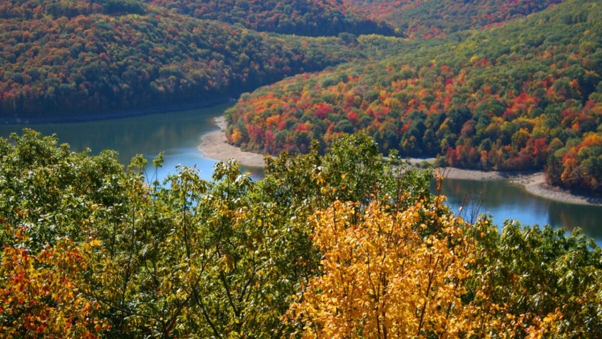 The Most Isolated, Off-the-Grid Spots in Each U.S. State You’ll Want to Visit 39 The Most Isolated, Off-the-Grid Spots in Each U.S. State You’ll Want to Visit - allegheny national forest dp7603079