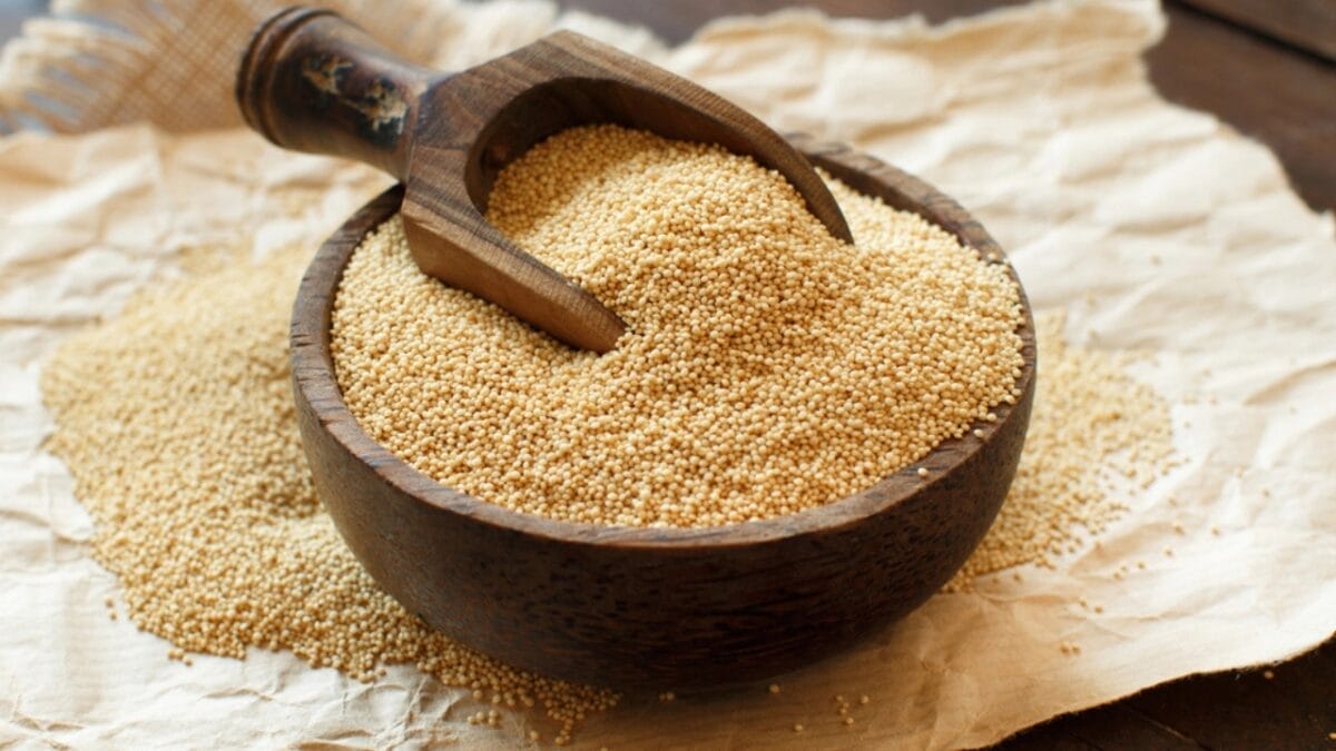 45% of Older Adults Have Age-Related Muscle Loss: 17 High-Protein Plants You Can Grow in Your Garden 13 45% of Older Adults Have Age-Related Muscle Loss: 17 High-Protein Plants You Can Grow in Your Garden - amaranth dp172733794